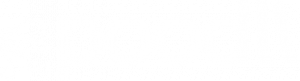 poodll logo light